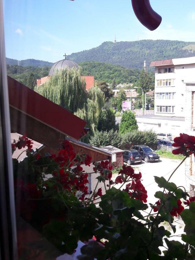 Felicita Apartment Brașov Exterior foto