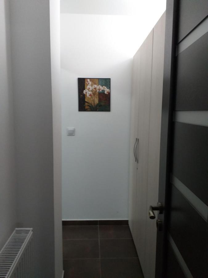 Felicita Apartment Brașov Exterior foto
